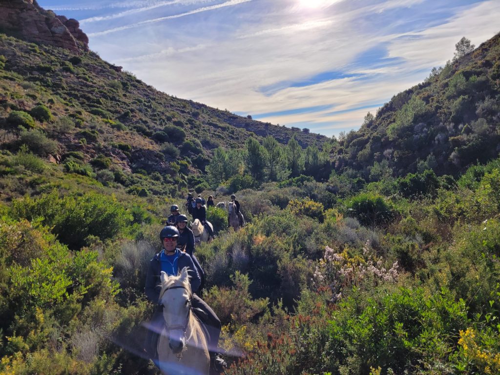 Haz tus paseos y rutas a caballo por la Sierra Calderona con la Hípica Rueda Centro Ecuestre de Náquera (Valencia)