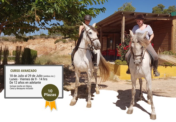 Curso avanzado de monta de caballo en la escuela de verano de equitación de la Hípica Rueda de Náquera Valencia