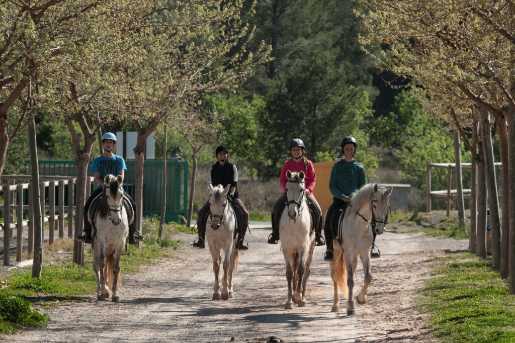 Escuela Ecuestre verano 2017 en la Hípica Rueda de Náquera Centro ecuestre de caballos en Valencia