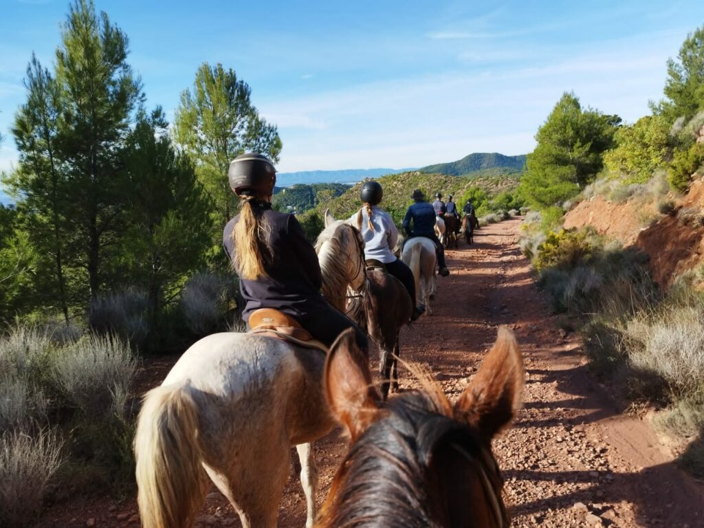 Paseo con caballos por la mañana por la Sierra Calderona con la Hípica Rueda de Náquera Valencia