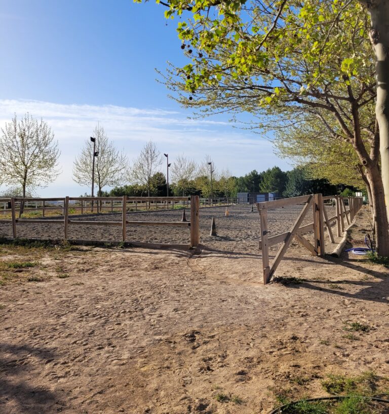 Pista de doma, una de las instalaciones de la Hípica Rueda, escuela ecuestre de Náquera (Valencia)