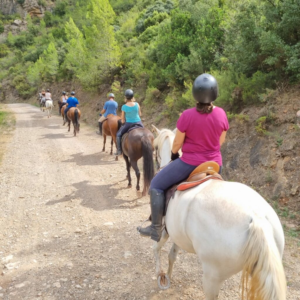 Haz tus rutas y paseos a caballo por la Sierra Calderona con la Hípica Rueda Centro Ecuestre de Náquera (Valencia)