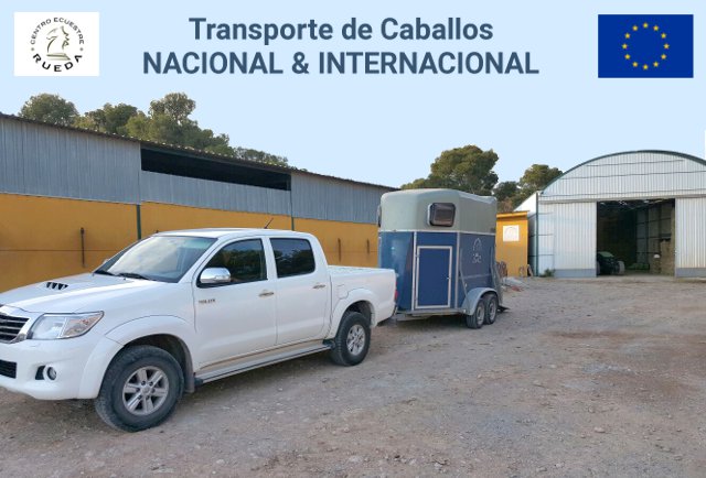 Servicio de transporte de caballos nacional internacional con remolque de la Hípica Rueda en Náquera Valencia