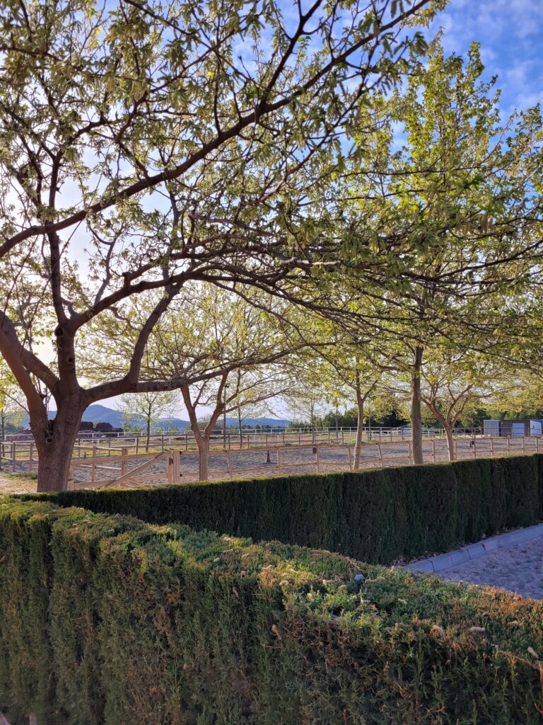 Seto de una pista, una de las instalaciones de la Hípica Rueda, escuela ecuestre de Náquera (Valencia)